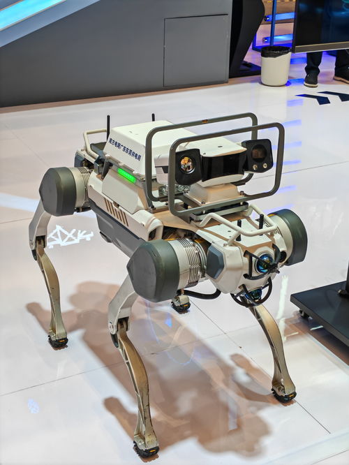 守護(hù)數(shù)字未來 2024年網(wǎng)絡(luò)安全博覽會上的創(chuàng)新技術(shù)服務(wù)